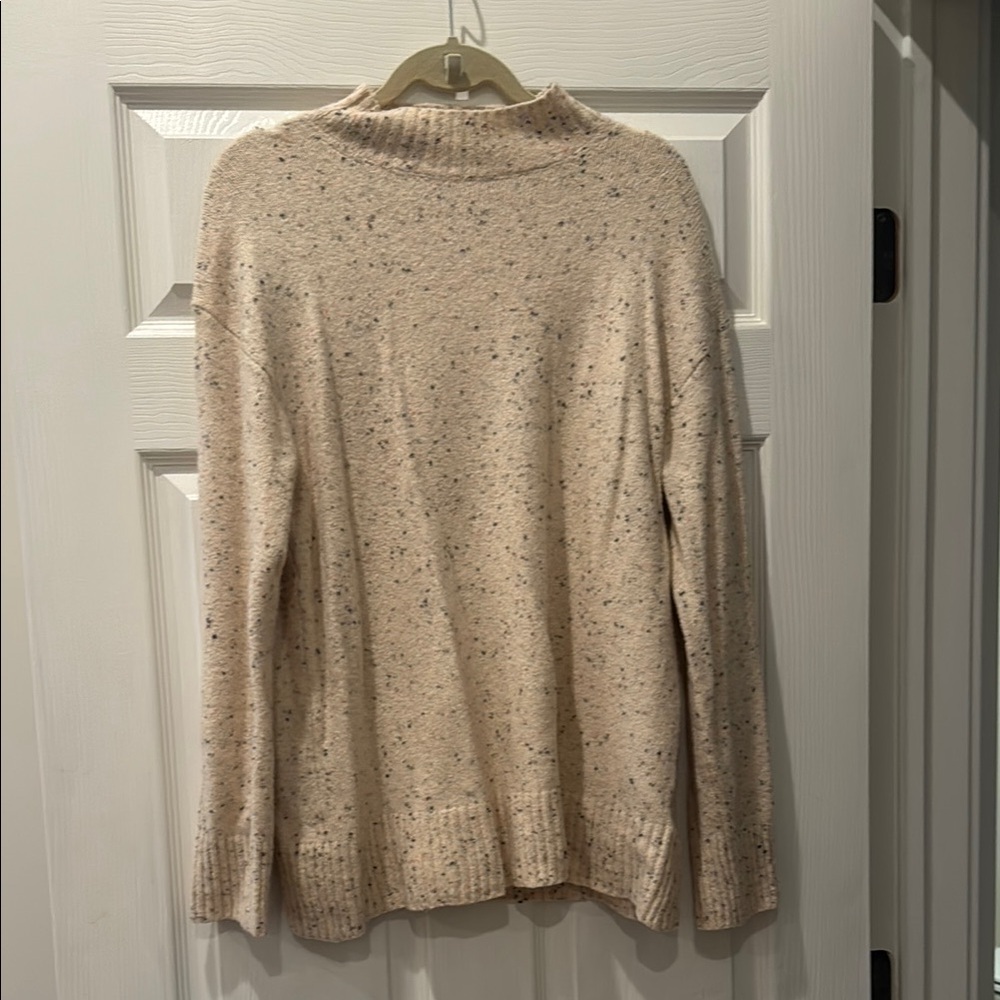 Everlane Cream Cowl Turtleneck Sweater